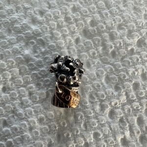 Pandora Charm